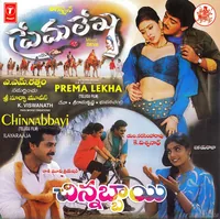Chinnabbayi (1996)