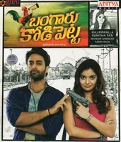 Bangaaru Kodi Petta (2013)