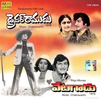 Driver Ramudu