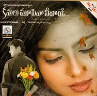 KMN F.jpg