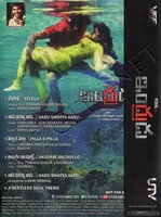 INDRUDU BACK.jpg